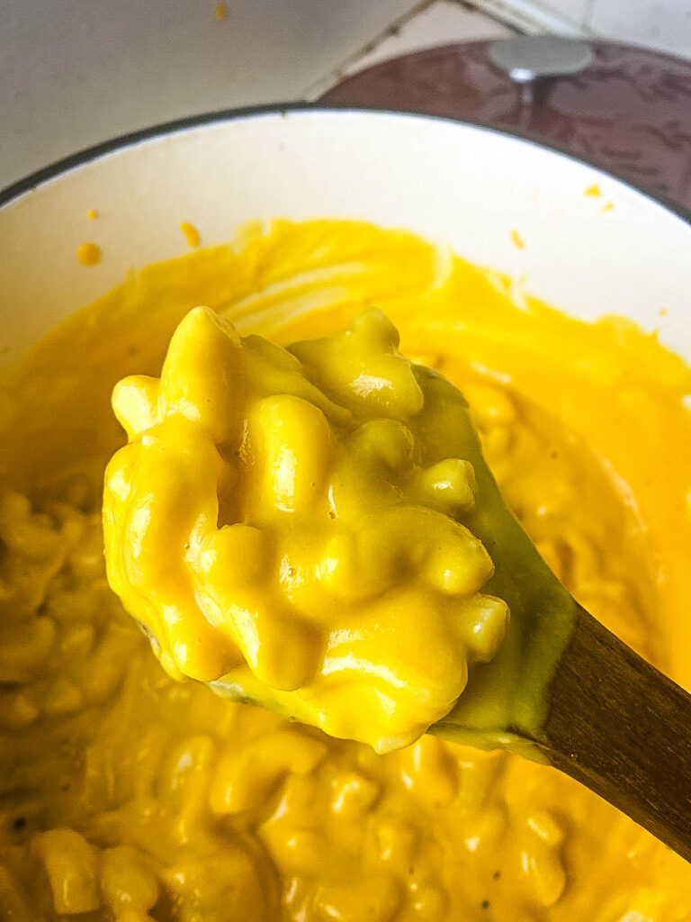 hidden veggie pasta sauce with elbow macaroni